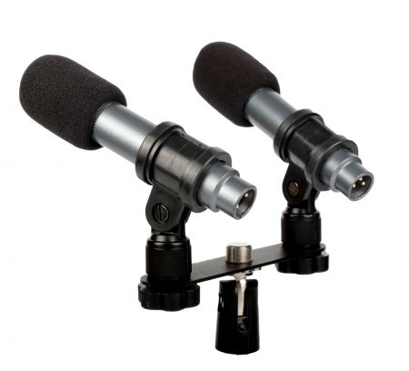 Condenser microphone for instrument/choir